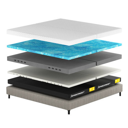 Madrac Ergorest Noctra