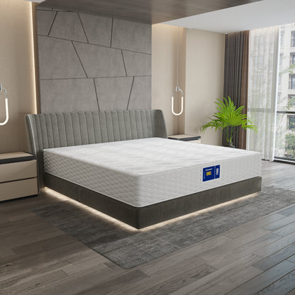 Madrac Ergorest Ionix